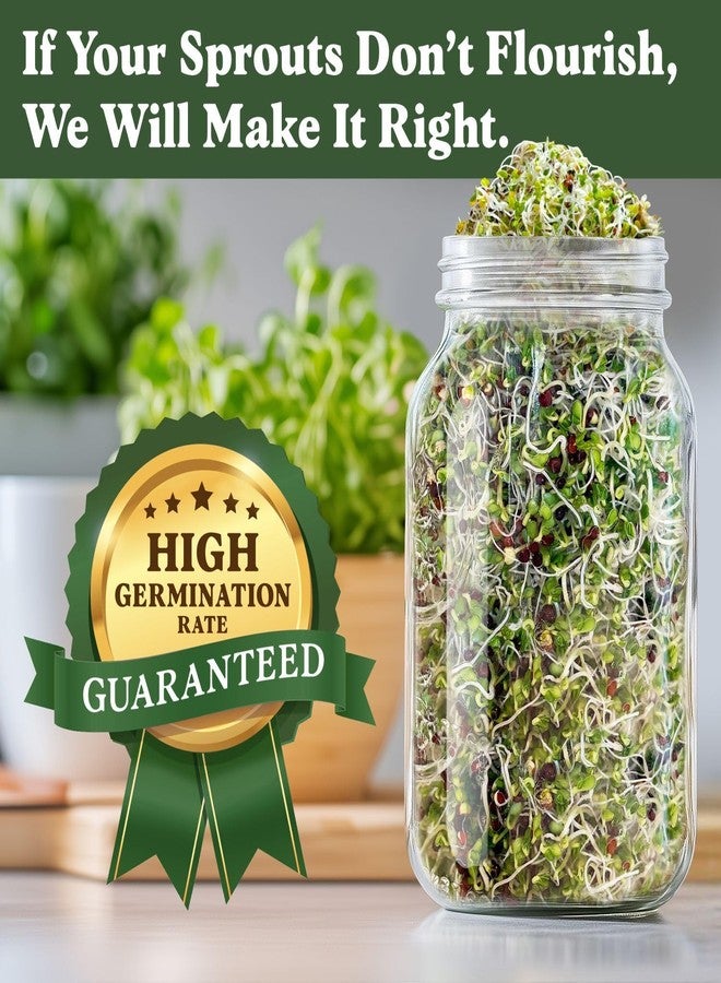 Seedboy Organic Non-GMO Broccoli Seeds for Sprouting - USA Grown Microgreens Sprouting Seeds - 8 oz Bag Makes 8 Quarts / 24 Servings (Di Cicco Broccoli) - Image 3